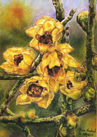 fleur de Chimanthus - Peinture - domnanteuil