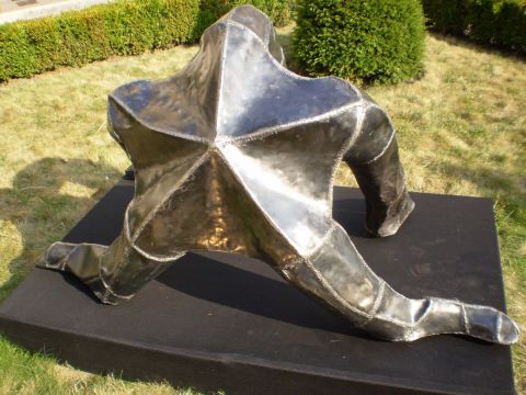 Etoile de mer  V  - Sculpture - frankalone