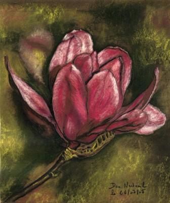 fleur de magnolia - Peinture - domnanteuil
