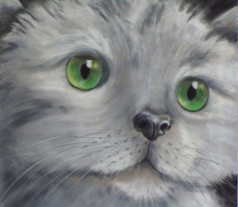 chaton gris - Peinture - BETTY-M peintre