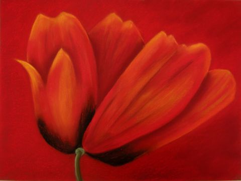 tulipe sur rouge - Peinture - BETTY-M peintre