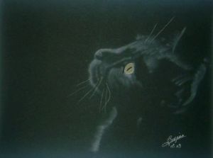 Voir le détail de cette oeuvre: le chat noir