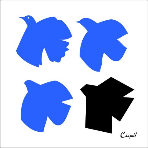 OISEAUX - Mixte - Patrick CAUQUIL