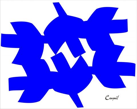 DANSE D'OISEAUX - Mixte - Patrick CAUQUIL