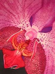 Voir le détail de cette oeuvre: Purple Orchid