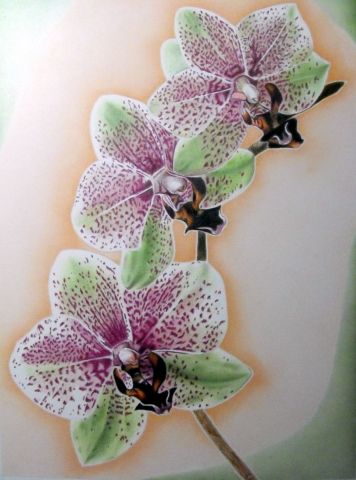 Orchidée - Dessin - SEVERINE NOIROT