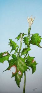 Peinture de Uko Post: little plant surviving ?