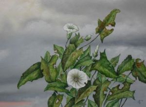 Voir cette oeuvre de Uko Post: plant and clouds