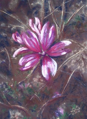 Fleur de mauve - Peinture - ghighi