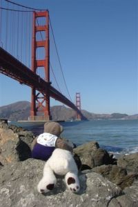 Photo de FABIO SKULL: Nounours et Isidor à San Francisco