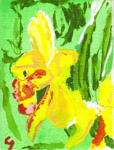 Peinture - Arsene Gully