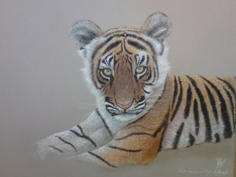L'artiste georges rossi - étude de tigron