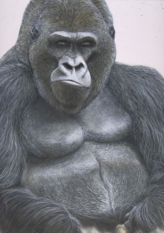 L'artiste georges rossi - gorille ..