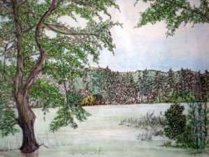 Peinture de ALAIN FAURE: LAC DU BOURDON