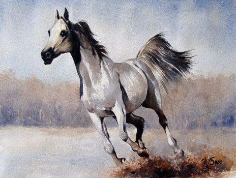 Cheval blanc - Peinture - Marcel BOOS