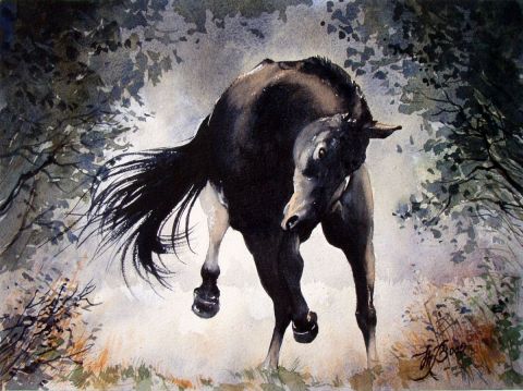 Cheval noir - Peinture - Marcel BOOS