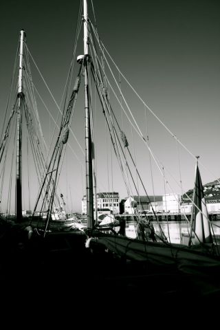 sur le port  - Photo - jean noel  rendu
