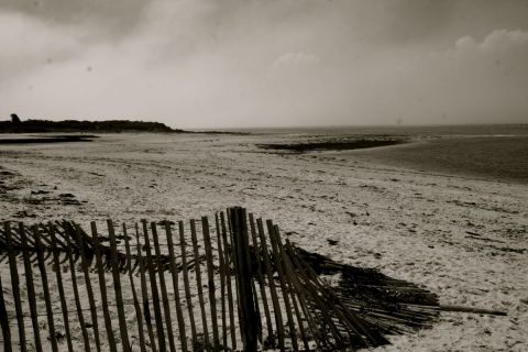 sur la plage 2 - Photo - jean noel  rendu