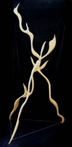 Mangrove - Sculpture - jean buyer