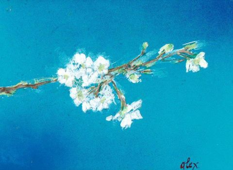 branche de cerisier - Peinture - Alex