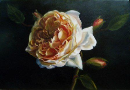 Bela Rosa - Peinture - Calie