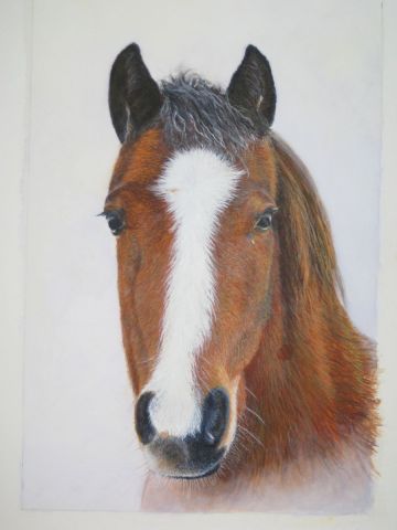 L'artiste Mikael Neel - portrait de cheval