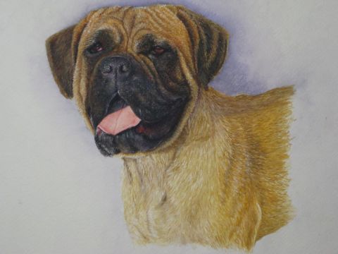 portrait de chien - Peinture - Mikael Neel