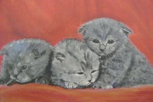 Voir le détail de cette oeuvre: trois chatons