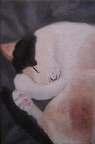 chat endormi - Peinture - Ori