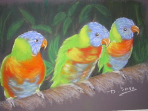 Oiseaux exotiques - Dessin - Dany SERVA