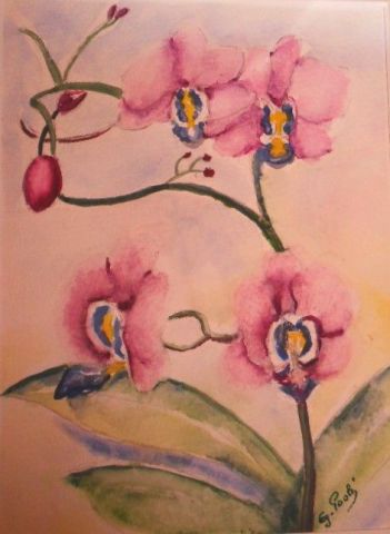 L'artiste Paoli - Orchidée rose