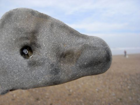 le Dinosaure  - Photo - Photopaulo
