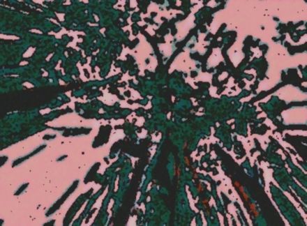 L'arbre fractal des signes - Art numerique - Nil Maikovski