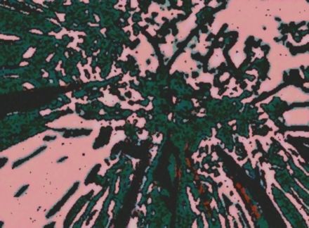 L'artiste Thierry-Nil Joliff-Maikov - L'arbre fractal des signes