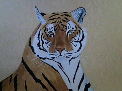 L'artiste Chabs - Tigre