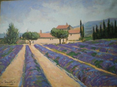 Paysage de Provence - Peinture - Madjid Soufi
