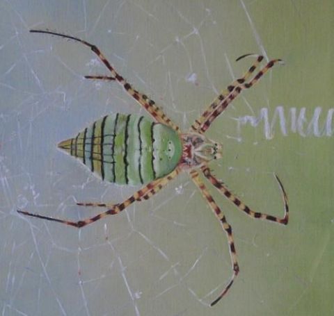 L'araignée - Peinture - Line