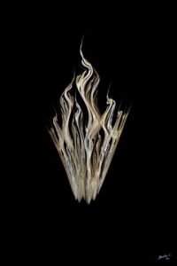 Voir cette oeuvre de Christophe BOURBON: Flamme des J.O.
