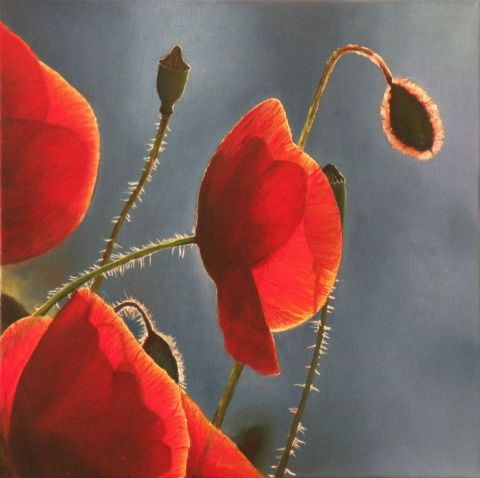 L'Eveil des coquelicots - Peinture - Frank GODILLE