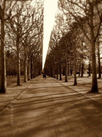 Marche vers l'avenir - Photo - LO