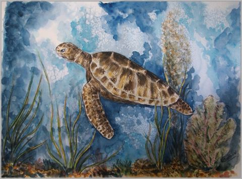 Tortue de mer en migration - Peinture - valerie CROCHARD