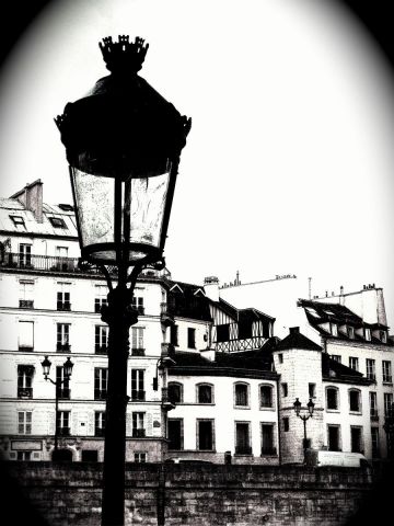 Quai aux fleurs - Photo - EDEN