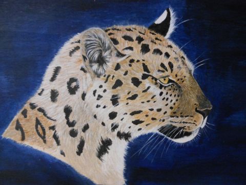 L'artiste Chabs - léopard