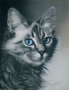 Voir cette oeuvre de Christian Michaut: Le chat aux yeux bleu