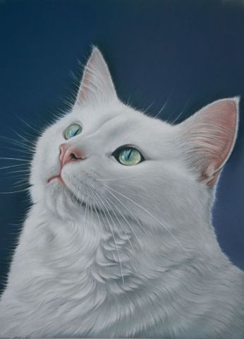 le Chat Blanc - Peinture - Christian Michaut