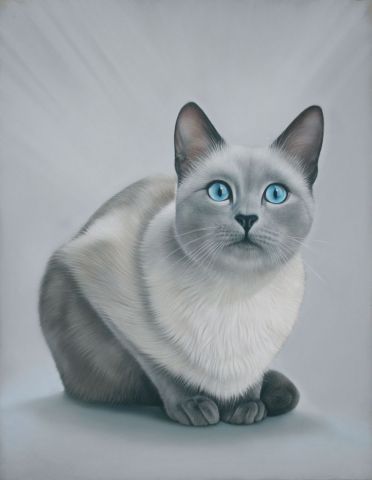 Le chat attentif - Peinture - Christian Michaut