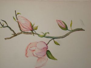Voir le détail de cette oeuvre: magnolia 