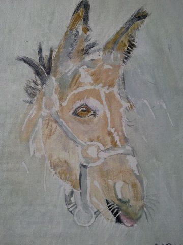 l'âne - Peinture - nicole