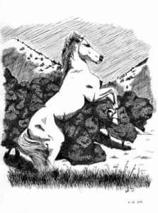 Dessin de AS: Le cheval blanc