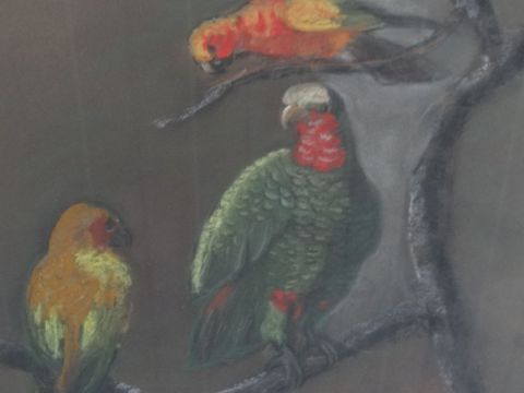 perroquets - Peinture - LILY